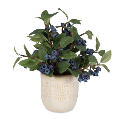 Chequers Moor 10 Inch Planter by Bailey Street Home - 208-BEL-5126665