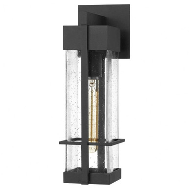 Danes Spinney 1 Light Medium Outdoor Wall Lantern by Bailey Street Home - 71-BEL-4423734