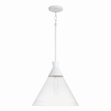 Paloma 1 Light Medium Pendant by Capital - 350311