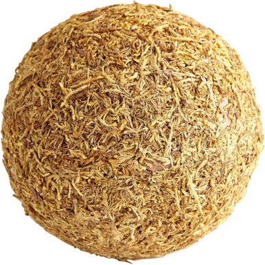 Inch Medium St. Augustine Filler by Bailey Street Home - 182-BEL-1907428