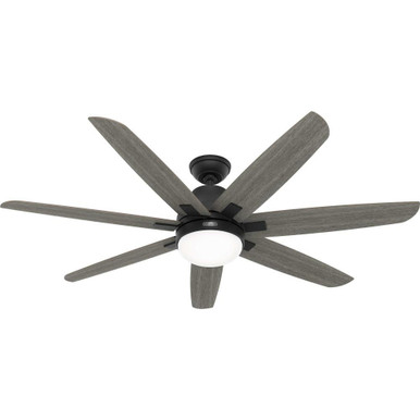 Wilder 60 Inch  Ceiling Fan with LED Light and Wall Control by Hunter Fans - 51566