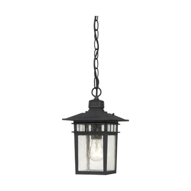 Cove Neck 1 Light Small Outdoor Pendant by Nuvo - 60/4956