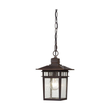Cove Neck 1 Light Small Outdoor Pendant by Nuvo 60/4955