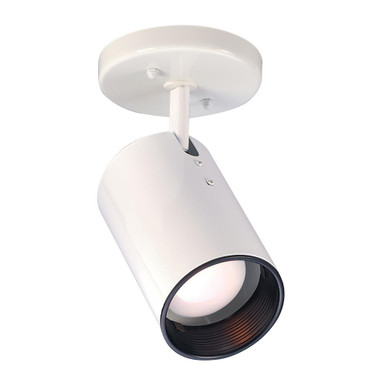 1 Light Flush Mount by Nuvo - SF76/412