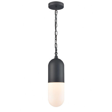 Capsule 1 Light Outdoor Pendant 15 Inch Tall and 4.75 Inch Wide by DVI - DVP13775BK-OP
