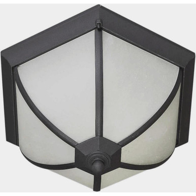 Ty 2 Light 14.5 Inch Wide Outdoor Flush Mount by Forte - 17007-02-04