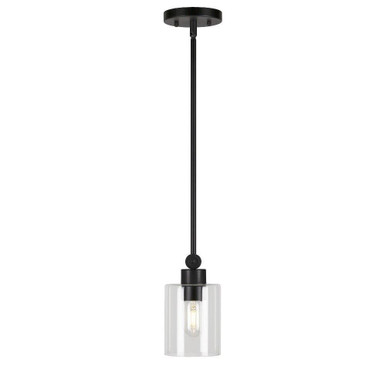 Jayden One Light Mini Pendant by Forte - 2614-01-04