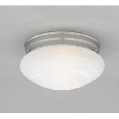 2 Light 9.5 Inch Wide Flush Mount by Forte - 6203-02-55