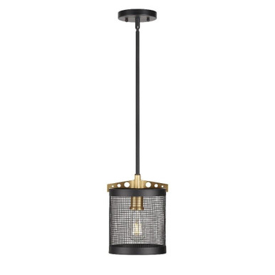 Takoma 1 Light Small Pendant by Forte - 7119-01-62