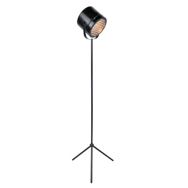 Lucine One Light Floor Lamp 17.5 Inches by 60.5 Inches High by Lite Source - LS-82962