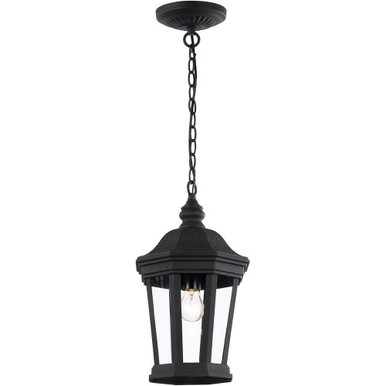 Westfield 1 Light Small Outdoor Pendant by Trans Globe - 40405 BK