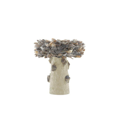 Oyster Shell 14 Inch Small Bird Bath by Currey Company - 1200-0052