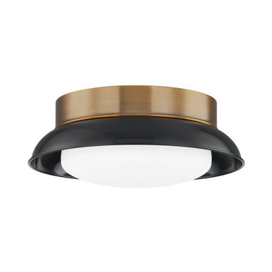 Arnie 2 Light 14.25 Inch Wide Flush Mount by Troy - C2014