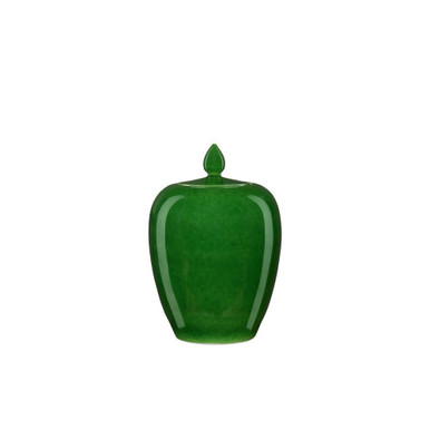 Ginger 11.5 Inch Jar by Currey Company - 1200-0576
