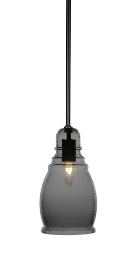 Palisade 1 Light Stem Hung Small Pendant by Toltec - 81-6-11-