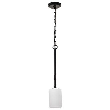 Liam 1 Light Mini Pendant 21.38 Inch Tall and 4.13 Inch Wide by Nuvo - 60/8205