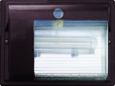 10W 2 LED Outdoor Wall Mount 10 Inch Wide by Dabmar - DF6426