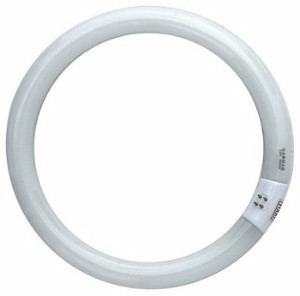 Circline Fluorescent Lamp by Dabmar - DL-22