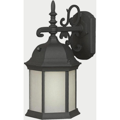 Chester One Light Outdoor Wall Lantern by Forte - 17008-01