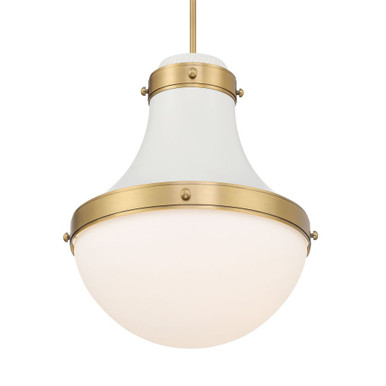 Purelight 1 Light Pendant 19 Inch Tall and 16.25 Inch Wide by Minka Lavery - 3934