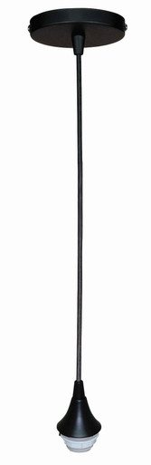 Royston Woods - One Light Mini Pendant - 4.25 inches wide by 85.75 inches high - 139-BEL-667569