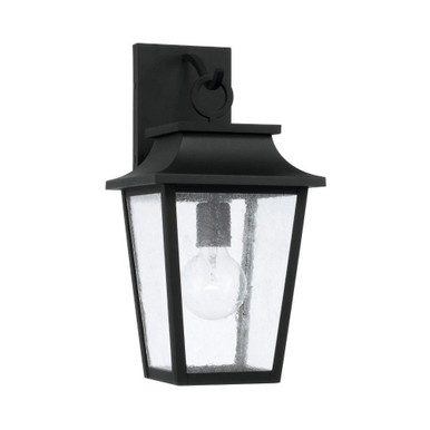 Gwenllian Street 1 Light Outdoor Wall Lantern by BSH - 309-BEL-1341985