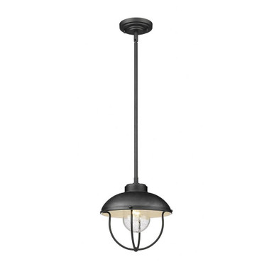 Rosehill Strand 1 Light Outdoor Pendant 10.5 x 11 In by BSH - 372-BEL-1093757