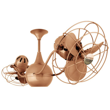 Hill View Beeches 6 Blade Ceiling Fan 42 Inch Wide by BSH - 176-BEL-1146609