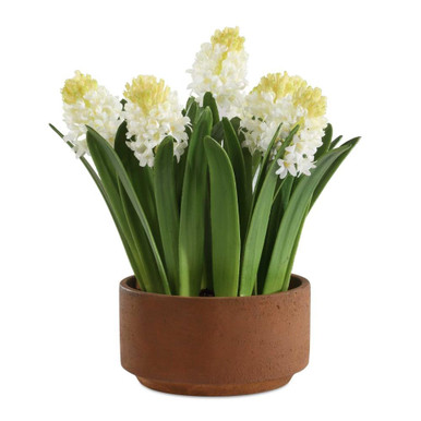 Potted Hyacinth Plant 16.5 Inch and 16.5 Inch Wide by BSH - 208-BEL-5325859