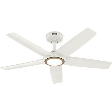 Zentech 5 Blade Ceiling Fan with Light Kit 44 Inch Wide by Hunter Fans - 53639