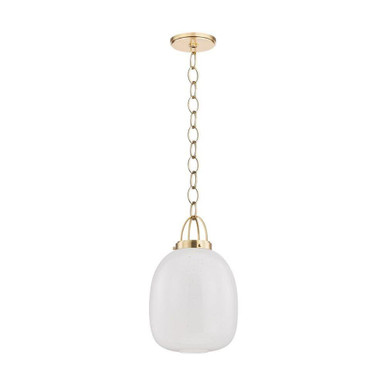 Enosburg 1 Light Pendant 18.75 Inch Tall and 11 Inch Wide by Hudson Valley - 2013-AGB