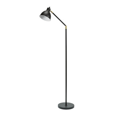 Lennon 1 Light Adjustable Floor Lamp 54.5 InchX22.25 Inch Wide by Catalina - 20093-001