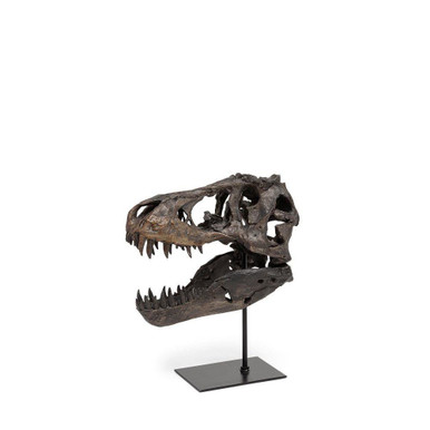 Jurassic Decorative Object 11.81 Inch Tall and 9.84 Inch Wide By Mercana - 67025