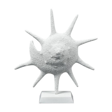 Marco Object 16.25 Inch Tall and 14.25 Inch Wide by Atlas - AC11461-01