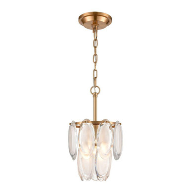 Curiosity 1 Light Pendant 15 Inch Tall and 9 Inch Wide by Atlas - CL11995-BS
