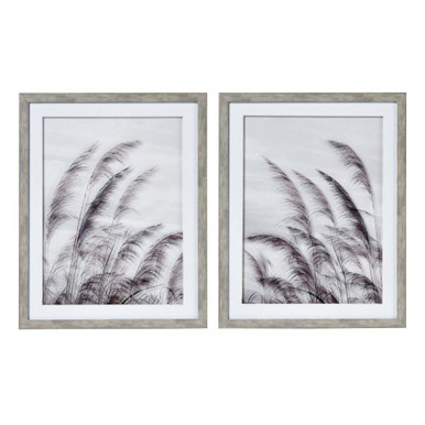 Dune Grass Framed Wall Art (Set of 2) 20 Inch Tall X 16 Inch Wide by Atlas - WA11043-01S
