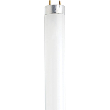 13W T8 Medium Bi Pin Base Bulb 1.04 Inch Wide X 11.22 Inch Length by Satco - S7920