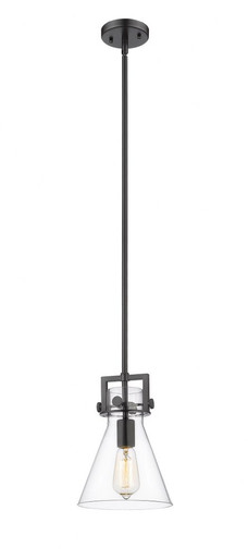 Newton Cone 1 Light Mini Pendant 11.38 Inch and 8 Inch Wide by Innovations - 411-1SS-BK-G411-8CL