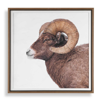 Big Horn Framed Print 40 Inch Tall and 40 Inch Wide by Uttermost - 32546