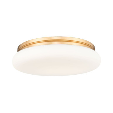 Soleil 50W 1 LED Flush Mount 5.25 Inch Tall and 20 Inch Wide by Z Lite - 1025F20