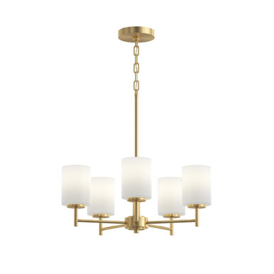 Replay 5 Light Chandelier 20.13 Inch Tall and 21 Inch Wide by Progress - P4319-191