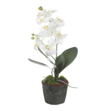Laris Orchid Drop In 14.75 Inch Tall and 9 Inch Wide by Uttermost - 60280