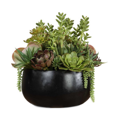 Mico Succulent Centerpiece 17.75 Inch Tall and 20.5 Inch Wide by Uttermost - 60277