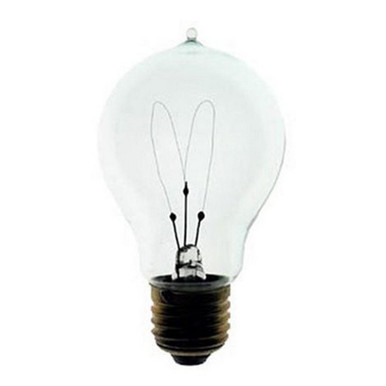 Incandescent Medium Base T10 120 Volt Lamp by Visual Comfort Modern - 300BHV389