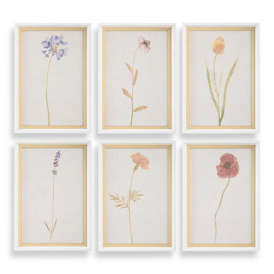 Wild Flourish Framed Floral Print (Set of 6) 20 Inches Tall by Uttermost - 32384