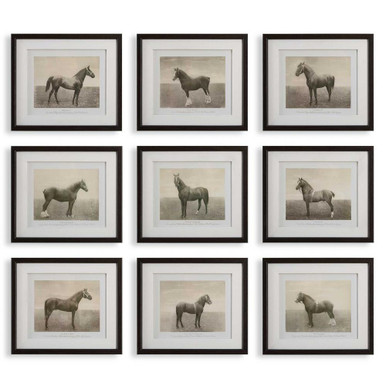 Equine Dynasty 15.88 Inch Framed Print (Set of 9) by Uttermost - 32343
