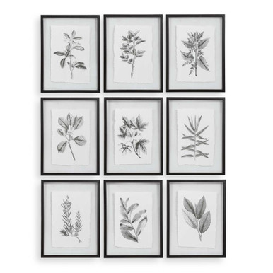 Farmhouse Florals 23 Inch Framed Print (Set of 9) by Uttermost - 41617