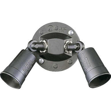 2 Light PAR Holder Wall Sconce 11 Inch Wide by Quorum - 691-2