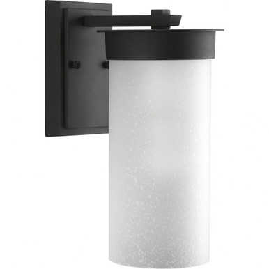 Hawthorne 1 Light Outdoor Wall Lantern 12.63 Inch Tall by Progress - P5625-31