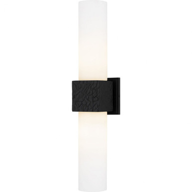 Arline 2 Light Wall Sconce 24 Inch Tall and 5 Inch Wide by Quoizel - QW6800